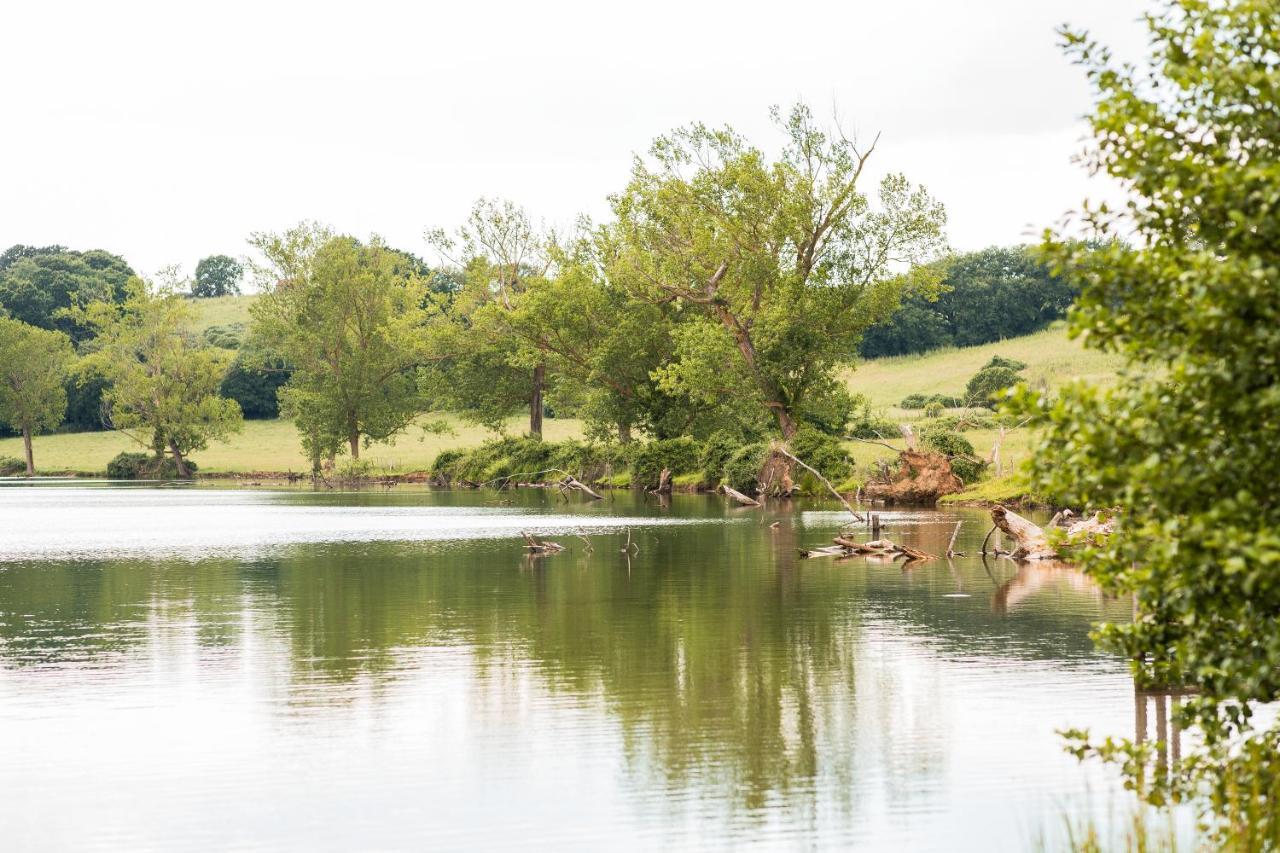 Agriturismo Lago Di Mezzano Valentano Ngoại thất bức ảnh